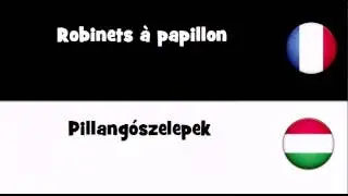 Traduction en 20 langues # Robinets &agrave; papillon