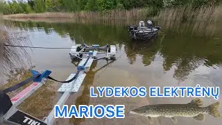 LYDEKŲ ŽVEJYBA ELEKTRĖNŲ MARIOSE 2024