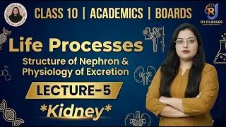 Lecture-5 Life Processess : Structure of Nephron & Physiology of Excretion
