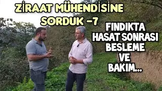 ZİRAAT MÜHENDİSİNE SORDUK; Fındıkta Hasat Sonrası Besleme Ve Bakım Uygulamaları Nasıl Olmalı ?