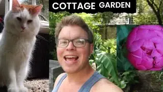 Cottage garden look with my Cat in May| Cottage garden design| 400 year old cottage