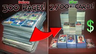 Sorting 300 Pages of Baseball Cards! (TIMELAPSE + Recap)