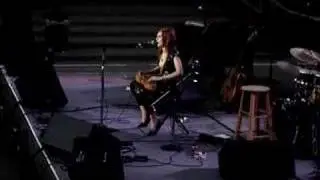Holly Brook - Rare Bird