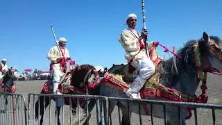 Fantasia in Sidi Kacem