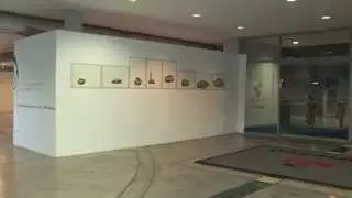 Obras del Sal&oacute;n Juvenil FIA 2014 se exponen en Ciudad Banesco
