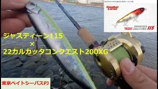 【東京ベイトシーバスPJ#2】エバーグリーンジャスティーン115×22カルカッタコンクエスト200XG【ジャスティーン115レビューその2】