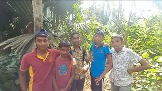 අපි රබර් කැලේ සවාරියක් ගියා