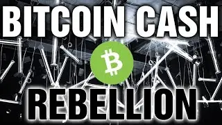 Криптовалюта Bitcoin Cash - $BCH готовится к взлету!