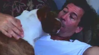 Dingo Full Movie