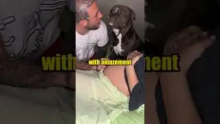 Dog Hears Baby&rsquo;s Heartbeat for the First Time! 🥺