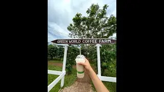 Green World Coffee Farm☕ | Oahu Circle Island Tour Stop with Aloha Fantasy Tours
