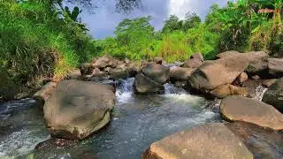 Relaxing Water Flow &ndash; 10 Hours of River ASMR for Stress and Focus Balance