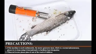 Powerful Electric Fish Scraper
