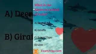 GK Quiz 3  