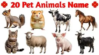 पालतू जानवरों के नाम 🐶🐱 | 20 Pet Animals Name | Kids Learning