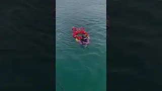 Become a PADI Rescue Diver at Reef Oasis Diving Center | Fujairah, UAE