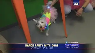 Barx Parx to host Electronic Dog Party in Vegas