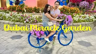 Dubai Vlog 2 - Dubai Miracle Garden in Daylight & Evening Lighting