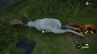 The Hunter: Call of the Wild (Gamo Albino troféu Gold)