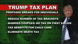 White House unveils &lsquo;biggest tax cut&rsquo; in history