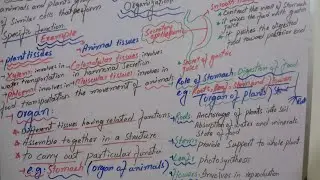Biology chp 1 introduction class 1st year topic tissue and organ system level.