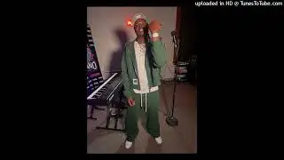[FREE] Chicken P x SME TaxFree x Milwaukee Type Beat 