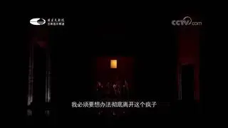 &ldquo;Fin ch&rsquo;han dal vino&rdquo; Don Giovanni - Vittorio Prato