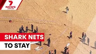 NSW scraps plan to remove shark nets from three beaches | 7NEWS