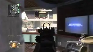 BO2 SWAT-556 GD Gun