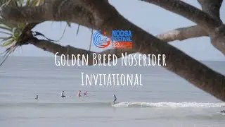 Golden Breed Noserider Invitational Division Noosa Festival of Surfing 2025