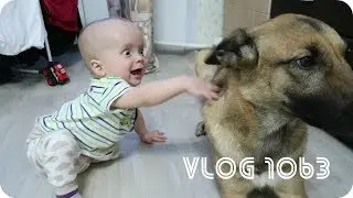 Влог 05.12.17 Прошли врачей на осмотре в год!