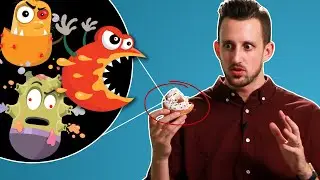 Is The Five-Second Rule Real?