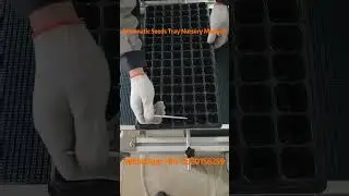 Fully Automatic Seedling Nursery Machine | Smart & Efficient Planting Solution 🌱🤖#seedling