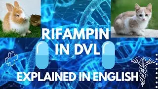 Rifampicin Made Super Easy! Uses, Side Effects & Clinical Pearls in ENGLISH!!