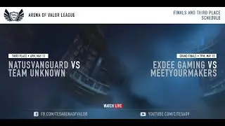 TES Arena Of Valor League - Grand Finals and Third Place Match