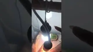 Nicholas și prezentare terariu agama cu barba ep.3