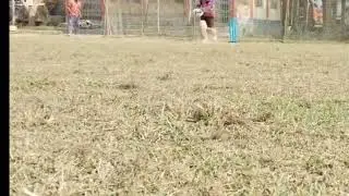 Life Line Cricket Coaching Centre. Practice 