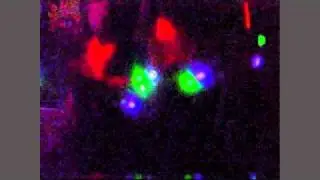 520 [LA] ODIE LIGHTSHOW  [liquidemotion.com]