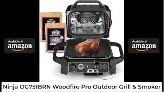 Ninja OG850 Woodfire Pro XL - outdoor grill and smoker with integrated thermometer, main 4-in-1grill