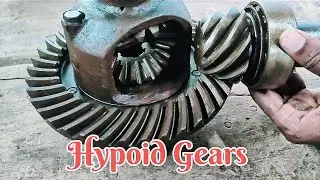 Hypoid Gears