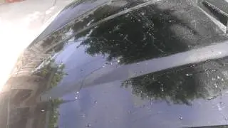 Corvette Black Label Paint Coating water test.(1)