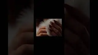 Fingernails on Wrapping Paper ASMR 🎁 Holiday Crinkle Chaos (No Talking) Full 9H &darr; #shorts