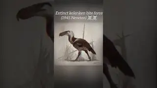 currently highest bite force of bird vs extinct terror bird bite force #extinct #shorts