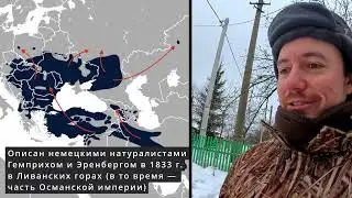 Заморский Дятел. Дневник натуралиста. 29.12.2023