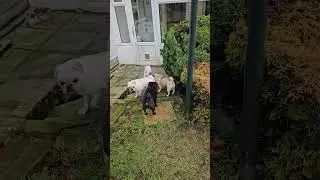 Nice and warm outside + 8C. Тепло и красиво на улице, +8С.