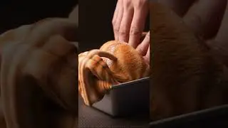 POV: they knead the chubby orange cat like bread dough and reality crashes