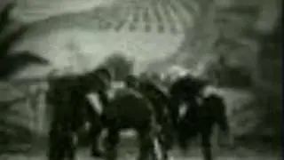 Lazisch Xoron remix (lazca horon) axani video
