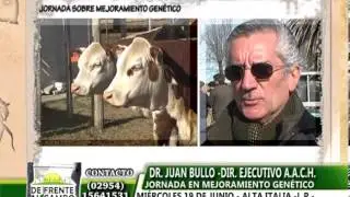 DE FRENTE AL CAMPO en ALTA ITALIA -L.P.-