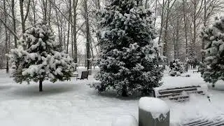 г.  Красноярск 26 ноября 2023г.