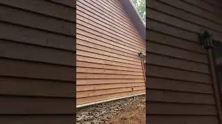 Lifeline Exterior Stain 2 coats with 1 coat Lifeline Advance Exterior Clear Satin